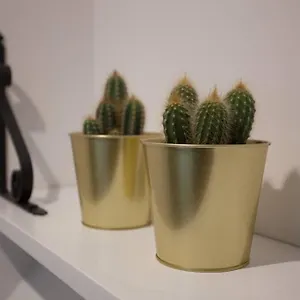 https://bonito-apartamento-nuevo-y-en-el-casco-viejo.bilbaohotelsspain.com
